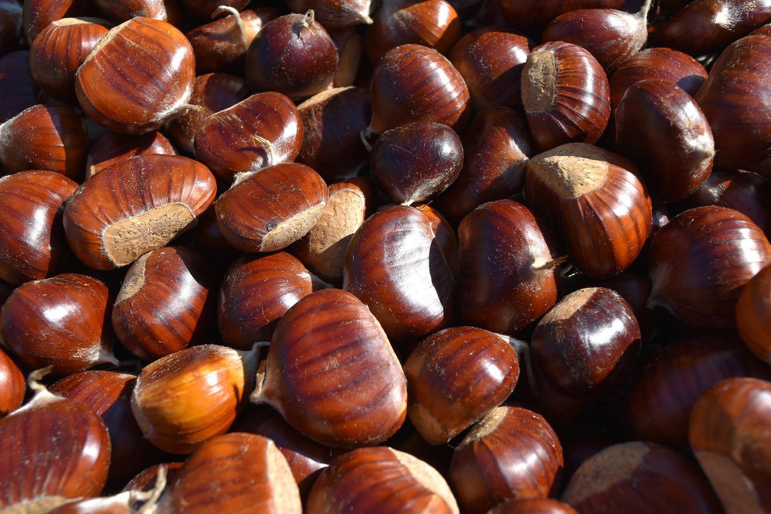 Chestnuts x 500g