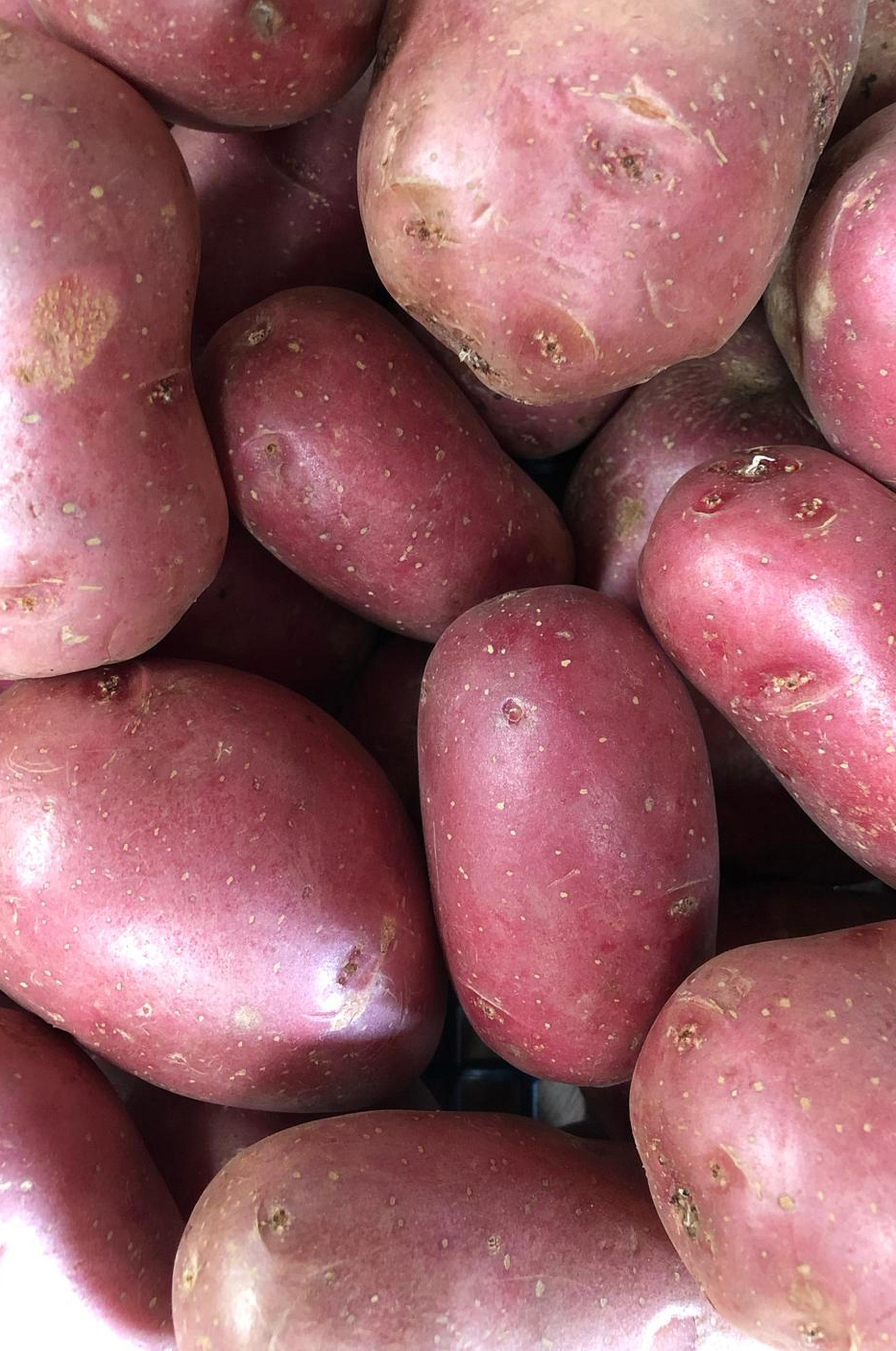 Potatoes - Red -- 500g