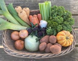 Image of Organic Veg Bag - XL