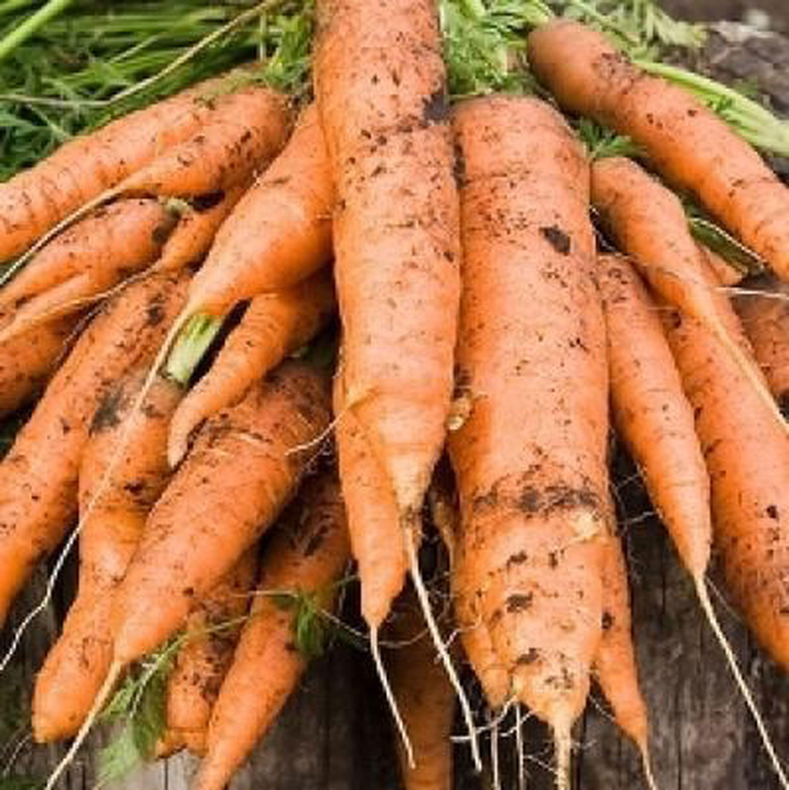 Carrots - 500g
