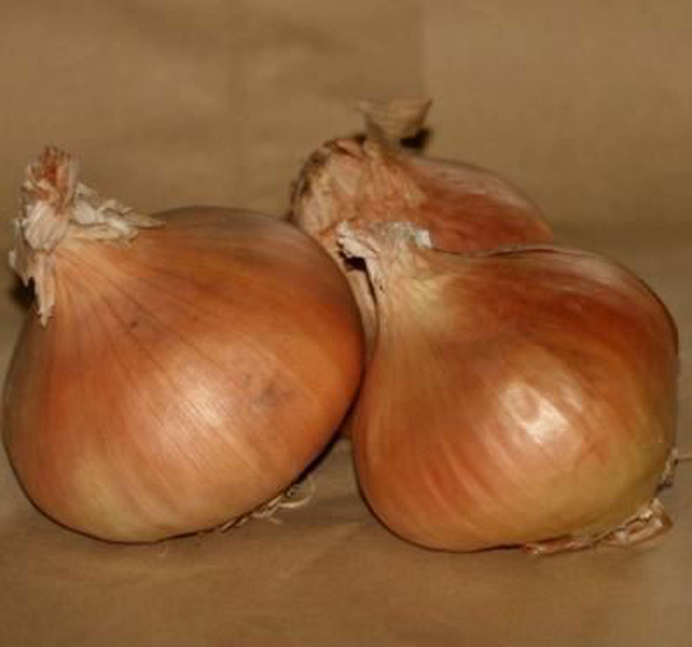 Onions - Brown - 500g
