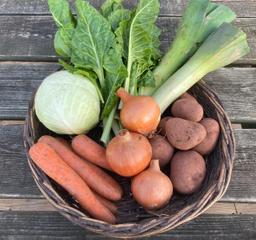 Image of Organic Veg Bag - SMALL