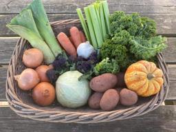 Image of Organic Veg Bag - LARGE