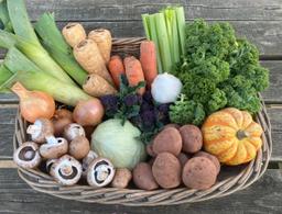 Image of Organic Veg Bag - XXL