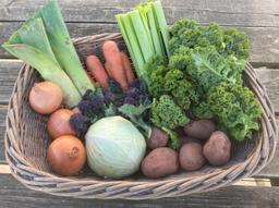 Image of Organic Veg Bag - MEDIUM