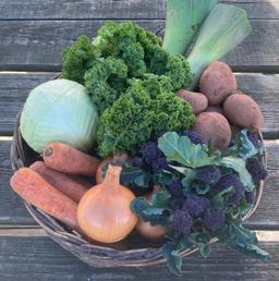 Image of Organic Veg Bag - STANDARD