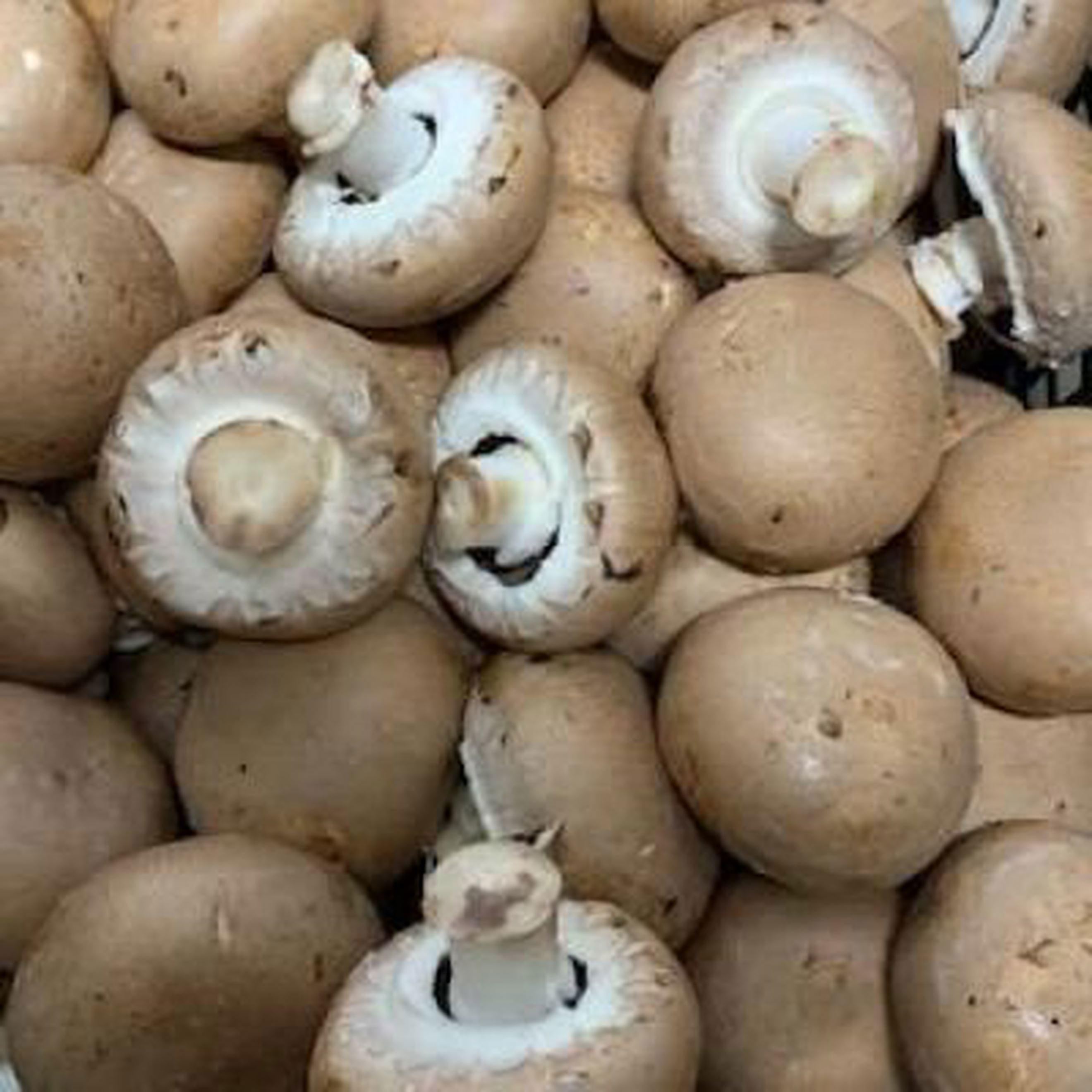 Mushrooms -- Chestnut 250g
